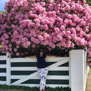 Meet your Posher, Cecilia